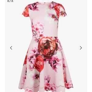 Ted Baker - Seeana Splendor Skater Dress Size 3